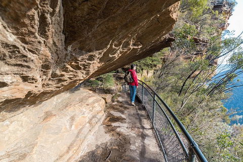Blue Mountains Highlights & Wildlife Park - Attractions 0