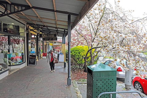Blue Mountains Highlights & Wildlife Park - Attractions 2