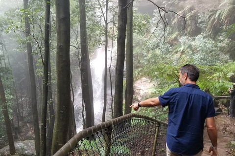 Blue Mountains Highlights, Wildlife Park And Scenic World Full Day Private Tour - Attractions 6