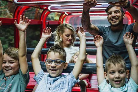 Blue Mountains Highlights, Wildlife Park And Scenic World Full Day Private Tour - Attractions 5