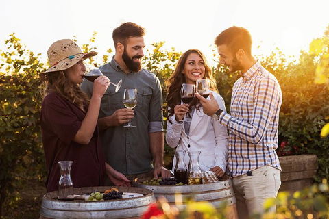 Hunter Valley Highlights Private Wine Tour From Sydney - Attractions 0