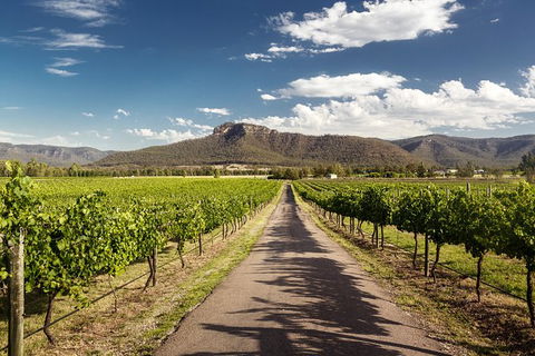 Hunter Valley Highlights Private Wine Tour From Sydney - Attractions 2