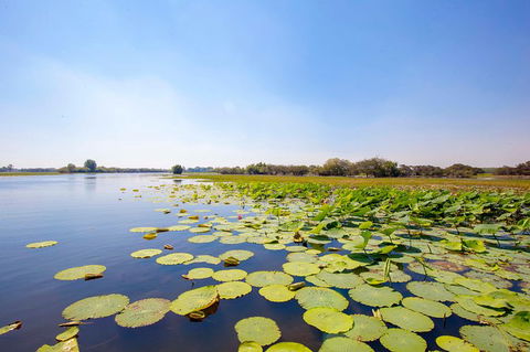 Jumping Crocs & Nature Adventure Cruise From Darwin - Attractions 8