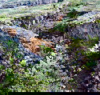 Jabiru 30 minute Scenic Flight - Attractions