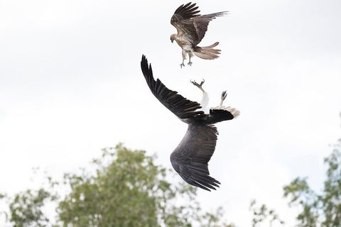 Top End Safari Camp Day Tour - Attractions 3