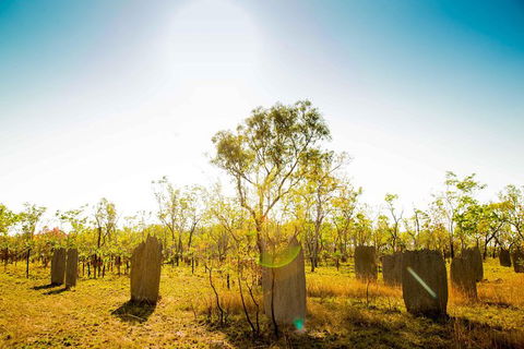Litchfield National Park Waterfalls Day Trip From Darwin Including Termite Mounds And Lunch - Attractions 1