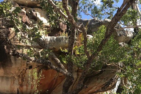 2-Hour 4WD Tour: Groote Eylandt Snapshot - Attractions 3