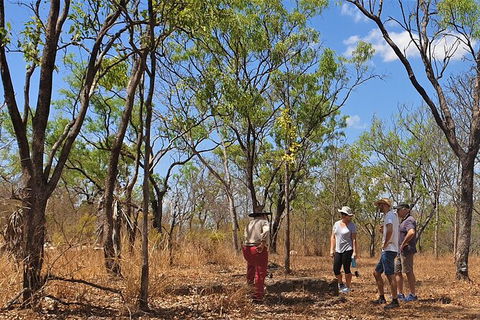 World War II Beyond Darwin - Attractions 4