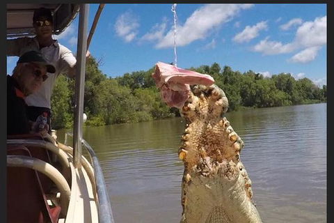 Pathfinder Jumping Crocodile Cruise Shuttle Bus - Attractions 7