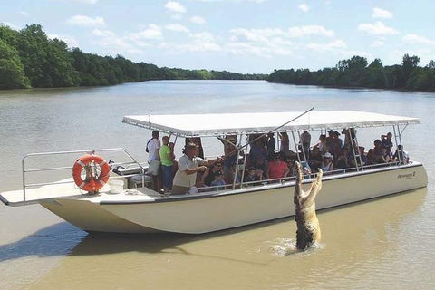 Pathfinder Jumping Crocodile Cruise Shuttle Bus - Attractions 1