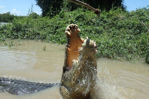 Jumping Crocodile Day Trip From Darwin - Attractions 4