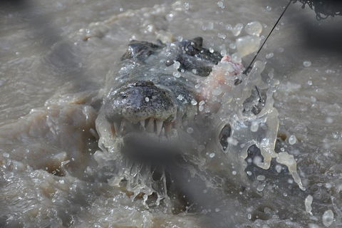 Jumping Crocodile Day Trip From Darwin - Attractions 1