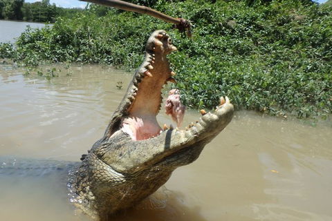 Jumping Crocodile Day Trip From Darwin - Attractions 2
