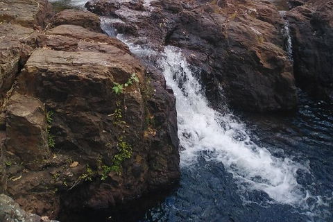 Full-Day Private Guided Tour To Litchfield National Park - Attractions 8