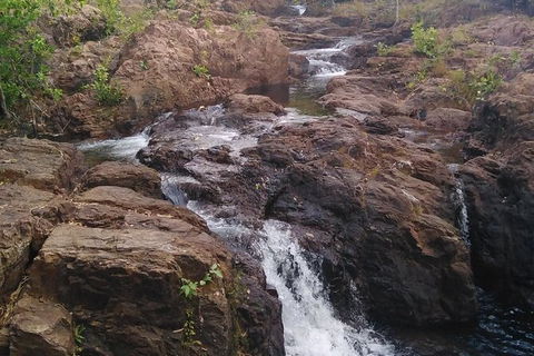 Full-Day Private Guided Tour To Litchfield National Park - Attractions 15