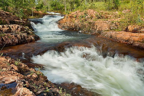 Full-Day Private Guided Tour To Litchfield National Park - Attractions 3
