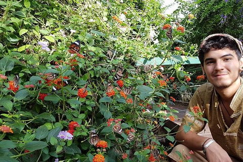 Full-Day Private Guided Tour To Litchfield National Park - Attractions 17