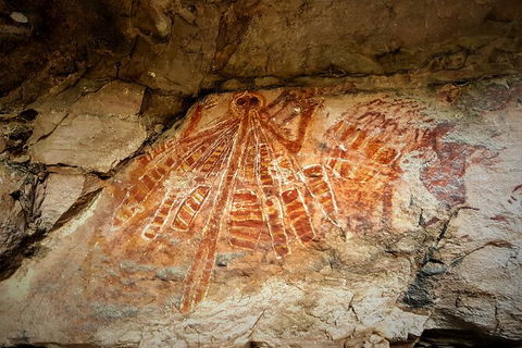 Arnhem Land Injalak Hill Full-Day Tour From Darwin - Attractions 1