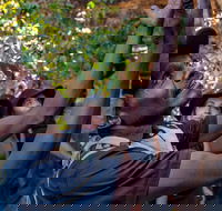 Arnhem Land Injalak Hill Full-Day Tour from Darwin - Attractions