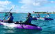 Half Day Dolphin Kayaking And Snorkeling Tour - thumb 5