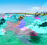 Half Day Dolphin Kayaking and Snorkeling Tour - Attractions