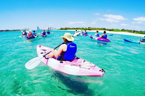 Half Day Dolphin Kayaking And Snorkeling Tour - Attractions 0