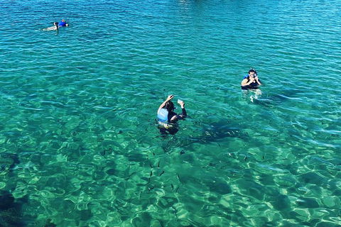 Half Day Dolphin Kayaking And Snorkeling Tour - Attractions 12