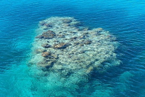 Lady Musgrave Day Trip From Bundaberg Including Snorkeling, Glass Bottom Tour And Guided Island Walk - Attractions 2