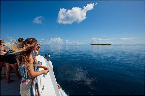 Lady Musgrave Day Trip From Bundaberg Including Snorkeling, Glass Bottom Tour And Guided Island Walk - Attractions 4
