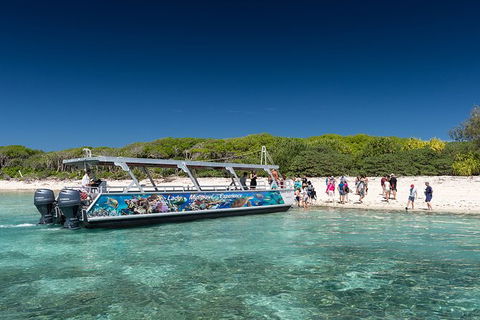 Lady Musgrave Day Trip From Bundaberg Including Snorkeling, Glass Bottom Tour And Guided Island Walk - Attractions 5