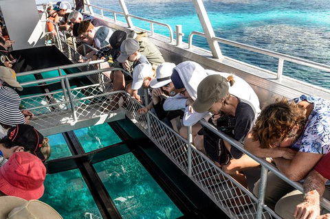 Lady Musgrave Day Trip From Bundaberg Including Snorkeling, Glass Bottom Tour And Guided Island Walk - Attractions 3