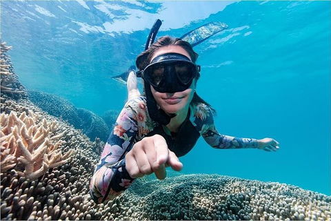 Lady Musgrave Day Trip From Bundaberg Including Snorkeling, Glass Bottom Tour And Guided Island Walk - Attractions 1