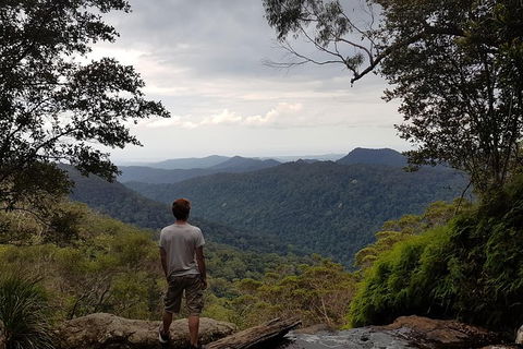 Small Group Gold Coast Mountain Tour: Springbrook National Park And Mt Tamborine - Attractions 6