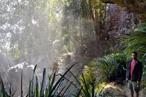 Small Group Gold Coast Mountain Tour: Springbrook National Park And Mt Tamborine - Attractions 7