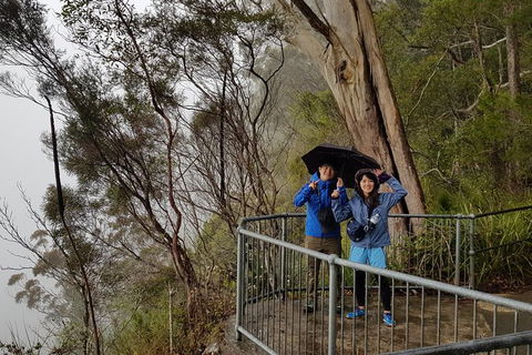 Small Group Gold Coast Mountain Tour: Springbrook National Park And Mt Tamborine - Attractions 1