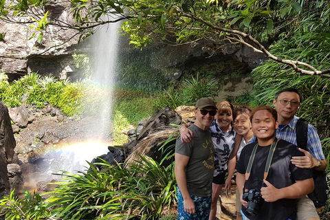 Small Group Gold Coast Mountain Tour: Springbrook National Park And Mt Tamborine - Attractions 0