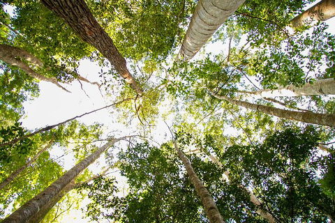 Fraser Island 4WD Tour From Noosa - Attractions 5