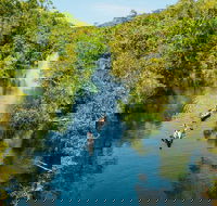 Cruise 'n' Canoe to Australia's Everglades - Attractions