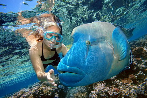 Cairns 2-Day Combo: Great Barrier Reef Cruise And Kuranda - Attractions 0