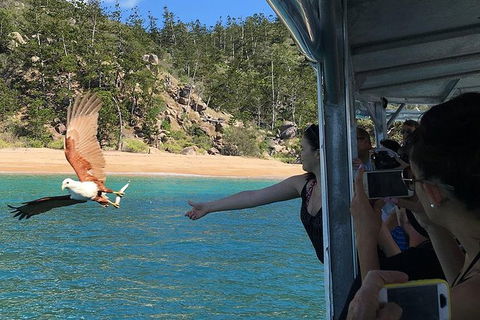 Aquascene Magnetic Island Discovery Tour - Attractions Las Vegas 2
