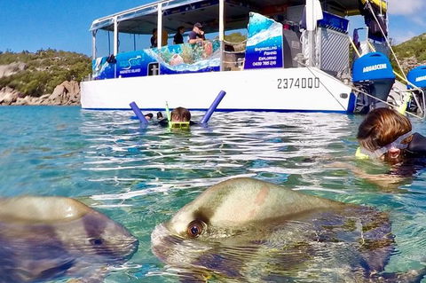 Aquascene Magnetic Island Discovery Tour - Attractions Las Vegas 4
