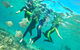 Half-Day Kayak, SUP And Snorkel Tour At Wave Break Island With Lunch - thumb 7