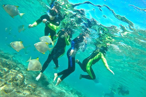 Half-Day Kayak, SUP And Snorkel Tour At Wave Break Island With Lunch - Attractions 7