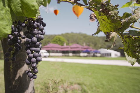 Hot Air Ballooning Including Champagne Breakfast From The Gold Coast - Attractions 2