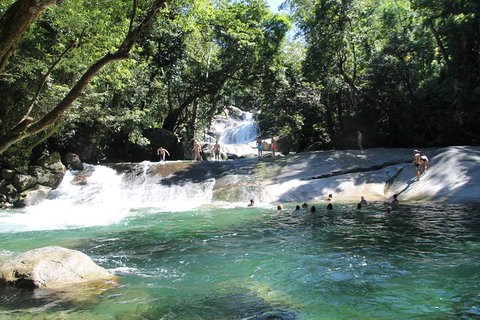 Double Pack-Ancient Rainforest And Waterfalls! - Attractions 5