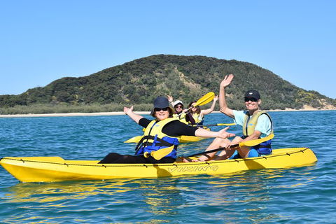 Kayak With Dolphins And 4WD Great Beach Drive Day Trip From Noosa - Attractions 6