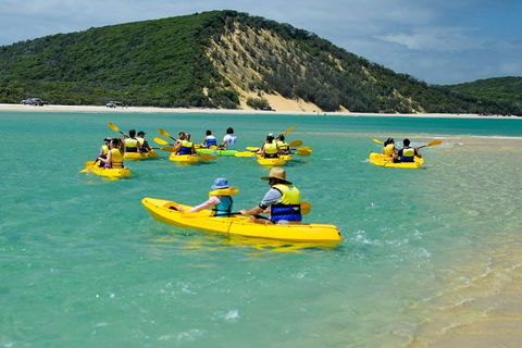Kayak With Dolphins And 4WD Great Beach Drive Day Trip From Noosa - Attractions 8