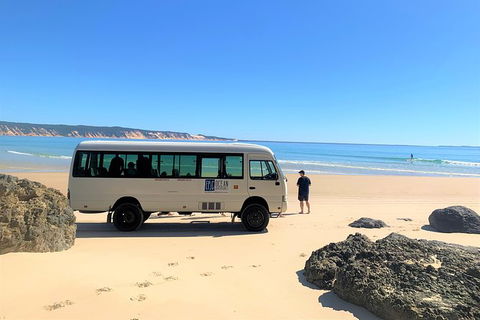 Kayak With Dolphins And 4WD Great Beach Drive Day Trip From Noosa - Attractions 17