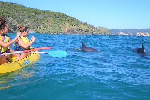 Kayak With Dolphins And 4WD Great Beach Drive Day Trip From Noosa - Attractions 5