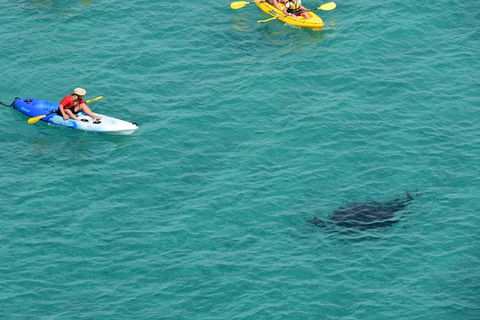 Kayak With Dolphins And 4WD Great Beach Drive Day Trip From Noosa - Attractions 18